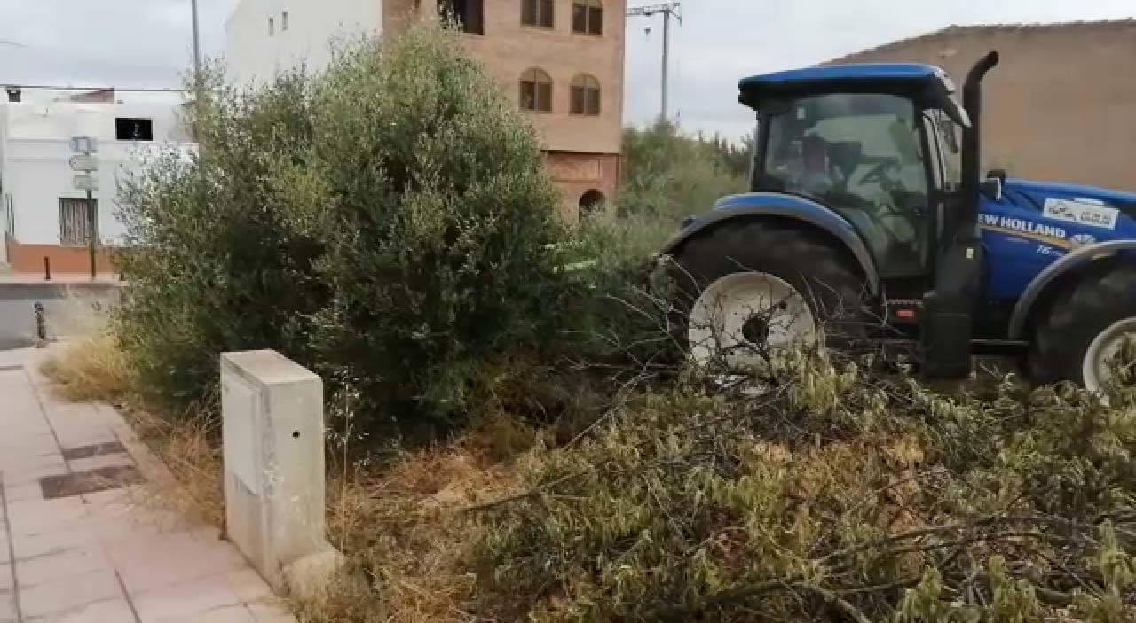 servicios agricolas en valencia